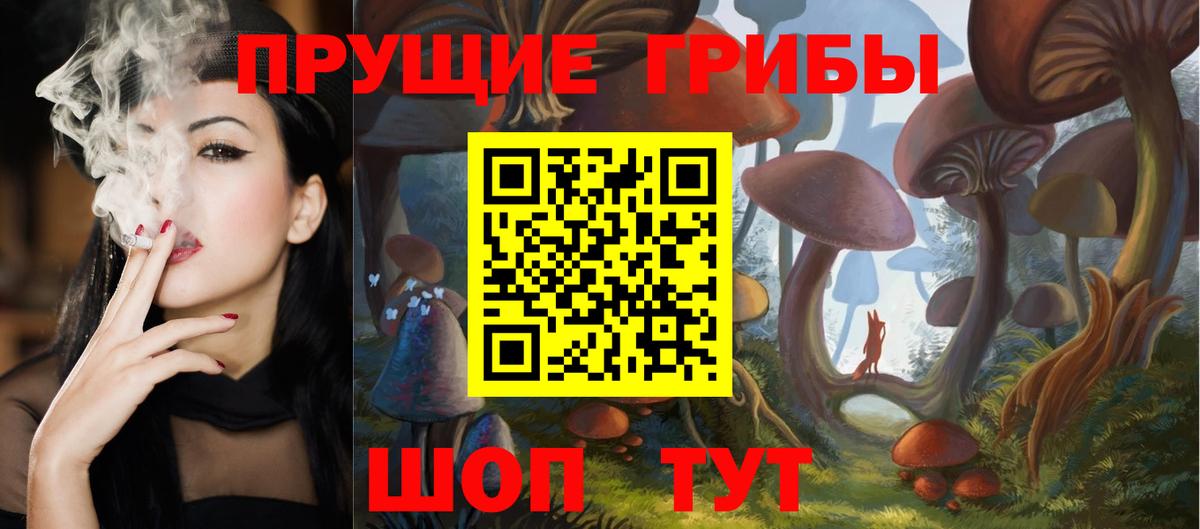 Псилоцибиновые грибы мухоморы  Псилоцибиновые грибы прущие грибы  цена   Кимовск  Вход с VPN 
